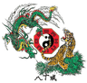 Body Mind Systems dragon-tiger emblem