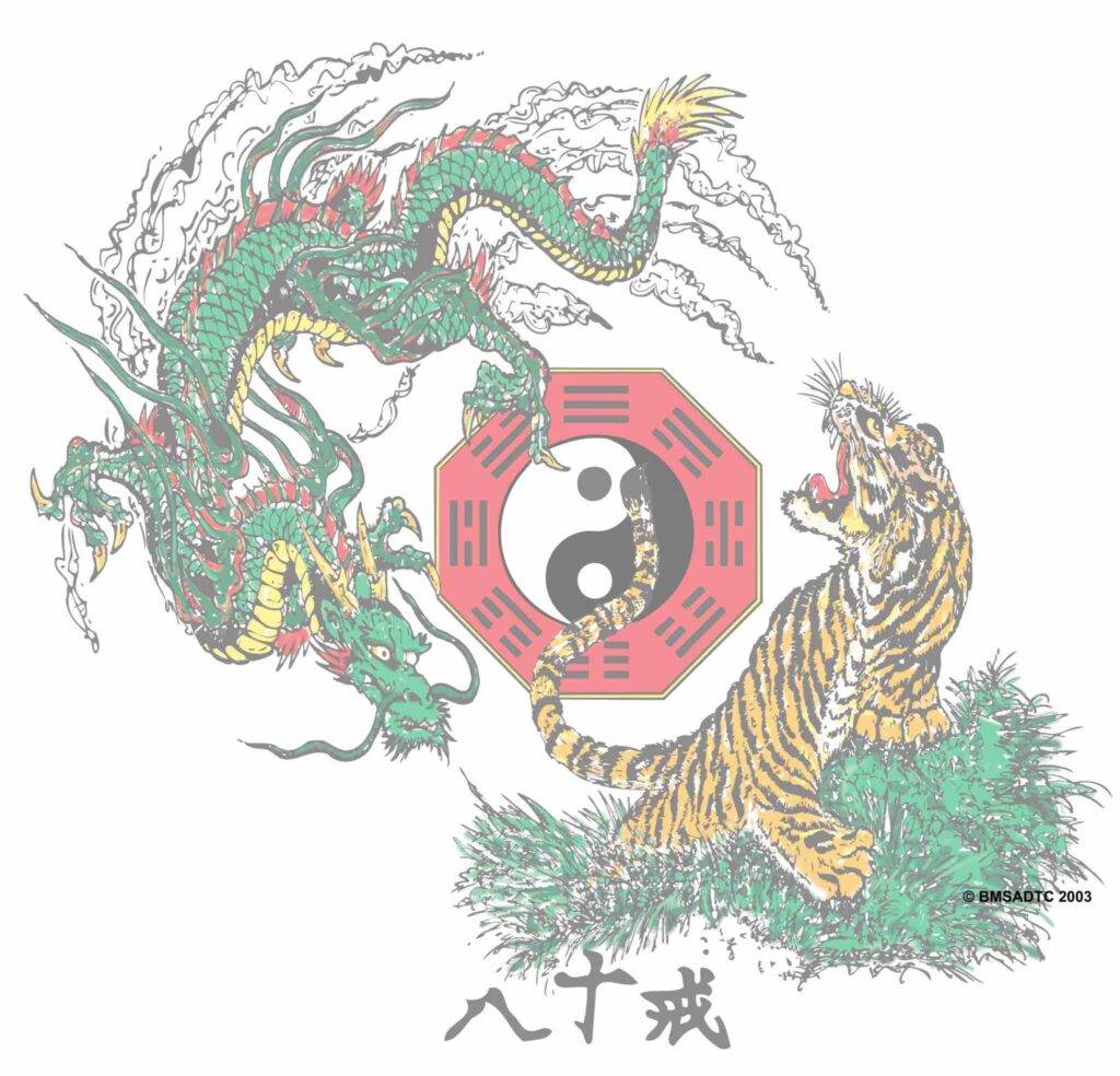 Body Mind Systems Logo, Tiger Dragon, Bagua