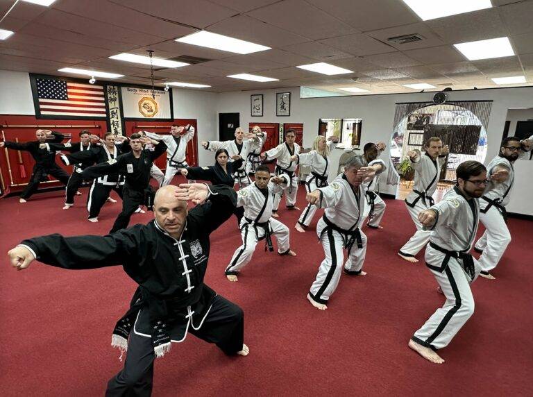 Master Lesson at Body Mind Systems