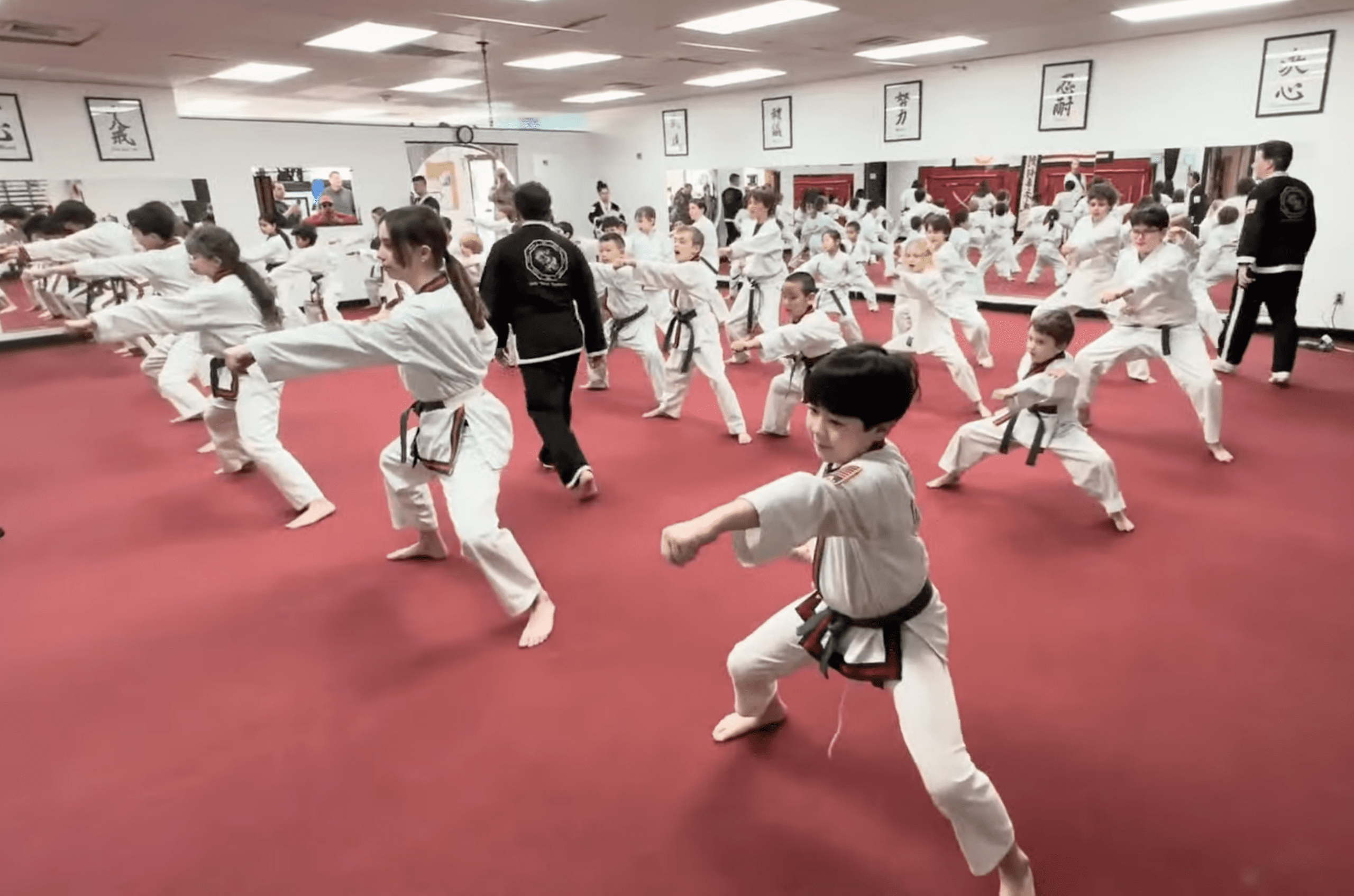 Adult martial arts training at Body Mind Systems